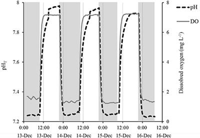 Diurnal Fluctuations in Acidification and Hypoxia Reduce Growth and Survival of Larval and Juvenile Bay Scallops (Argopecten irradians) and Hard Clams (Mercenaria mercenaria)